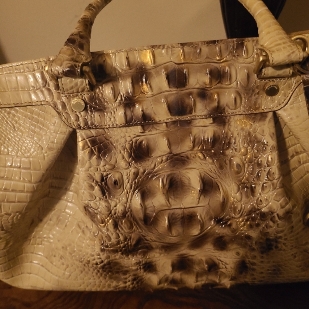 Brahmin Exclusive rare find